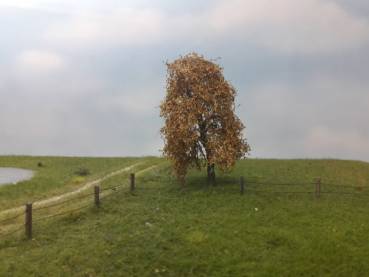 Weeping willow Profiline